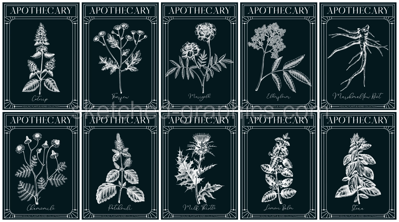 Apothecary labels set. Healing plants and medicinal herbs sketches. Art nouveua, adt deco, vintage, retro style. Frame design templates on chalkboard. NOT AI generated Illustration